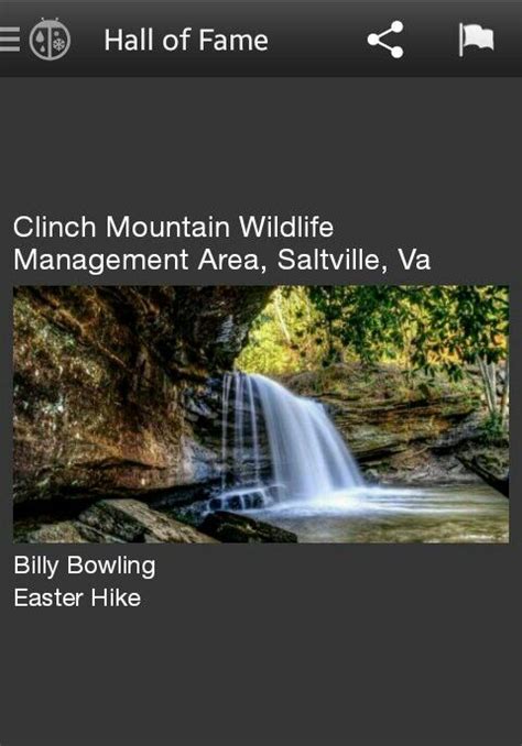 Clinch Mountain Wildlife Hall Of Fame, Waterfall, Wildlife, Hiking, Favorite Places, Areas ...