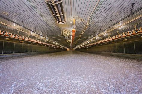 Guidelines for Composting Poultry Litter - Better Chicken Houses