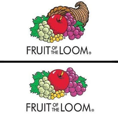 Melissa Burgess Taylor Chairman & Ceo Of Fruit Of The Loom—Publishes A Statement On Their 2019 ...