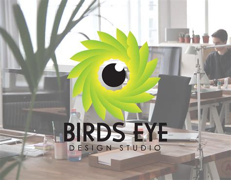 Birds Eye Design Studio - Logo Design on Behance