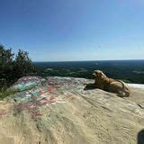 Currahee Mountain Trail - Georgia | AllTrails