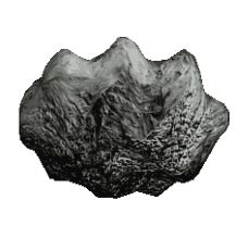 asteroid clipart gif 10 free Cliparts | Download images on Clipground 2024