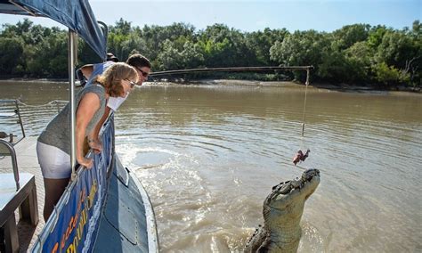 Adelaide River Jumping Crocodile Cruise, Australia | Activities in ...