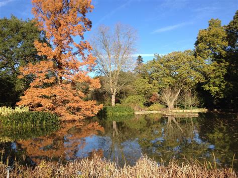 RHS Wisley Autumn Amazing Gardens, Beautiful Gardens, Morning Photography, Rhs, Autumnal, Surrey ...