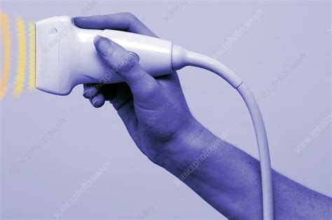 Ultrasound transducer - Stock Image - M406/0323 - Science Photo Library