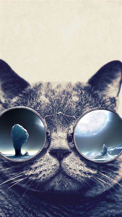 Cool Cat Wallpapers - Top Free Cool Cat Backgrounds - WallpaperAccess