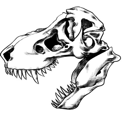 Black Dinosaur Skull, Dinosaur Drawing, Skull Drawing, Dinosaur Sketch PNG Transparent Clipart ...