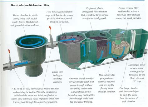 Pond Filter Setup Diagram