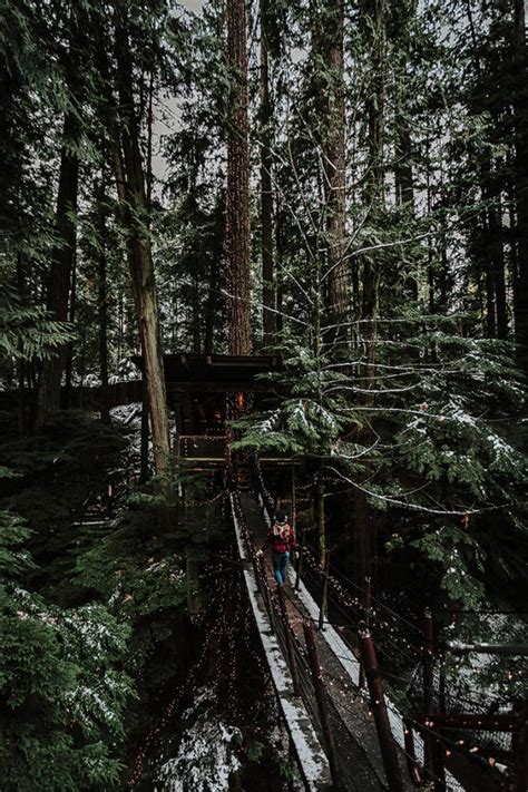 Capilano Suspension Bridge in the Winter | xoxoBella