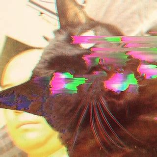 BLACK CAT TEARS #glitchart | via Instagram ift.tt/1KbqJn9 | Flickr