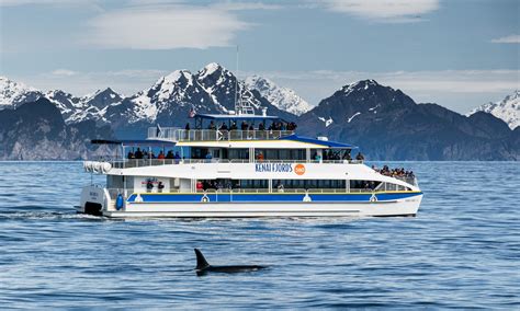 Kenai Fjords Photo & Video Gallery - Major Marine Tours