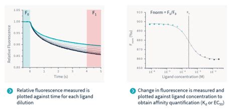 Dose Response Curve - Definition and Relevance | Nanopedia