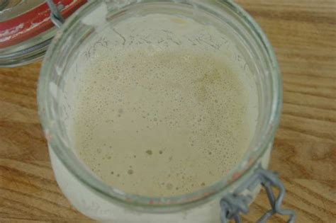 Sourdough Starter Recipe - Food.com