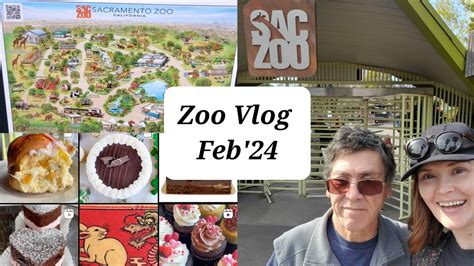 Let's Go To The Zoo // Sacramento CA Zoo Feb '24 - YouTube