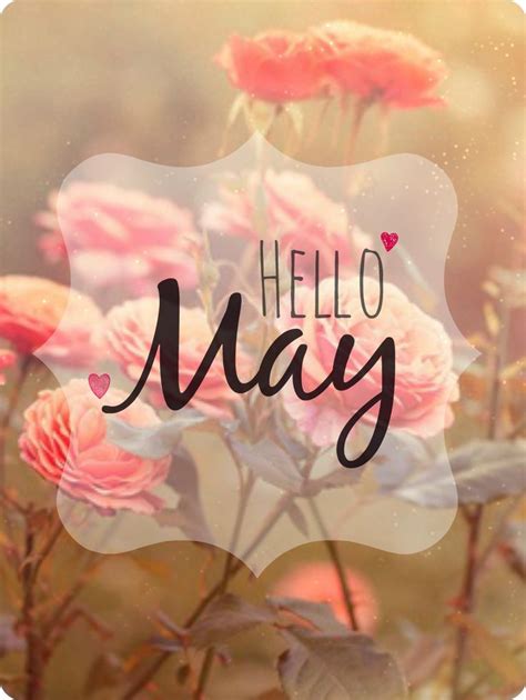 Hello May Quotes. QuotesGram