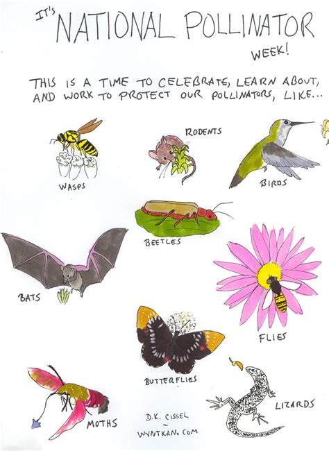 It's National Pollinator Week!