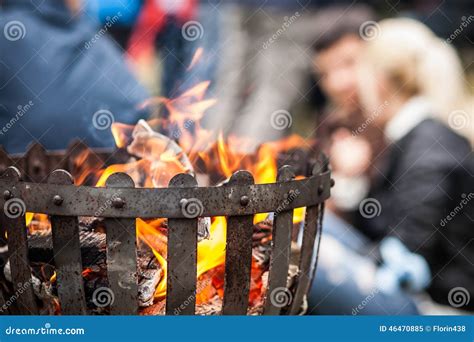 Wildfire stock image. Image of warm, blazing, campfire - 46470885