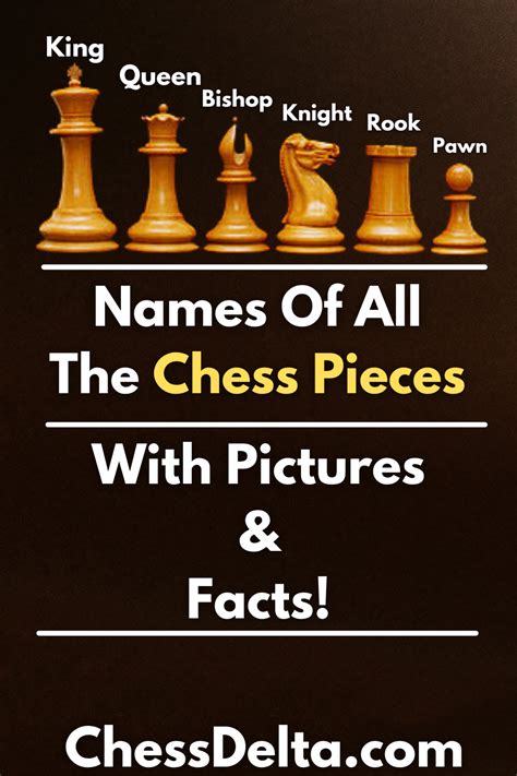 Pin on Learn Chess Beginners