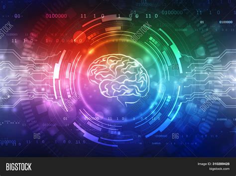 Human Brain 2d Image & Photo (Free Trial) | Bigstock