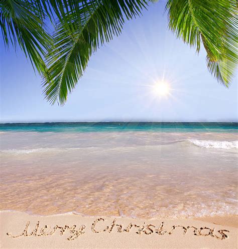 500+ Beach Scene Christmas Cards Stock Photos, Pictures & Royalty-Free ...