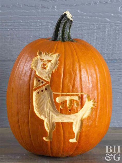 20+ Animal Pumpkin Decorating Ideas – The Urban Decor