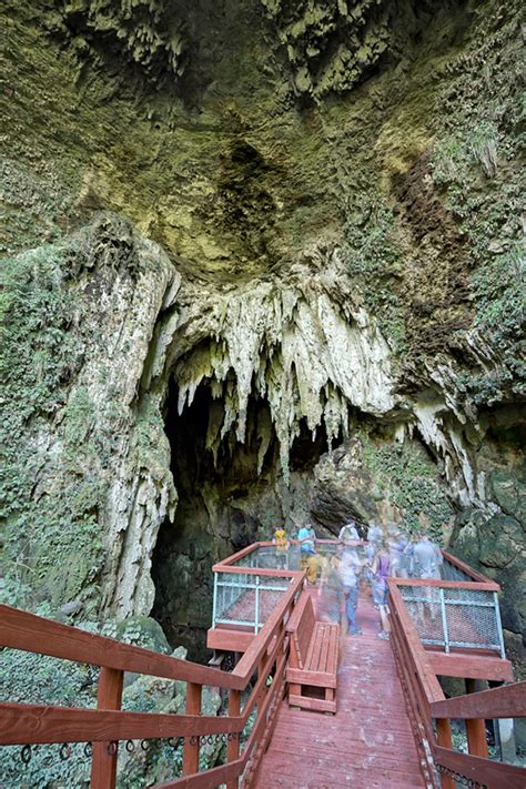 Caverns of the Camuy River National Park, Camuy, Puerto Rico