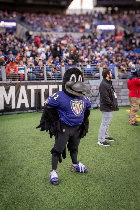 Baltimore Ravens Mascot #BenjaPhoto@Ravens vs @Broncos@NFLDecember 4 ...