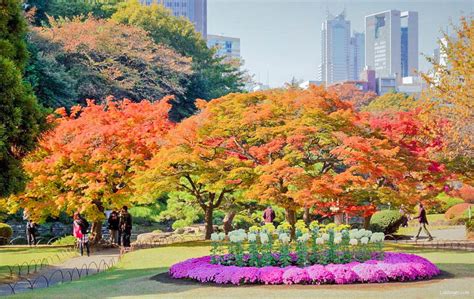 Autumn 2016: Shinjuku Gyoen – Lakbayer