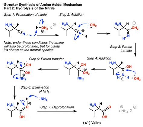 The Strecker Synthesis of Amino Acids – Master Organic Chemistry