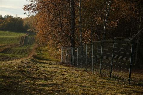 Poland to build razor-wire fence on border with Russia's Kaliningrad ...