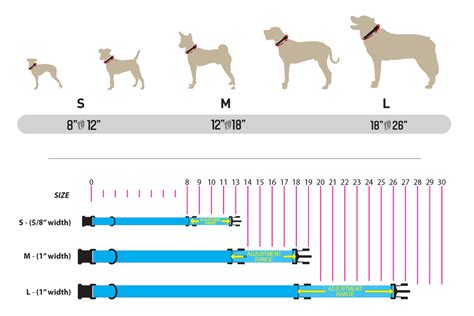 Puppy Collar Size Chart By Breed : Buy A Collar Feed A Dog For Every ...