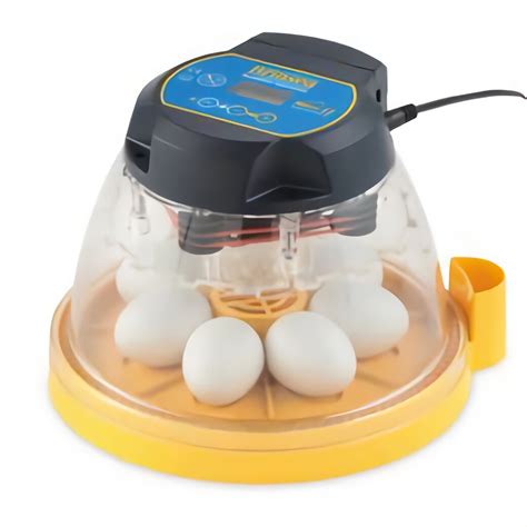 Quail Egg Incubator for sale in UK | 51 used Quail Egg Incubators