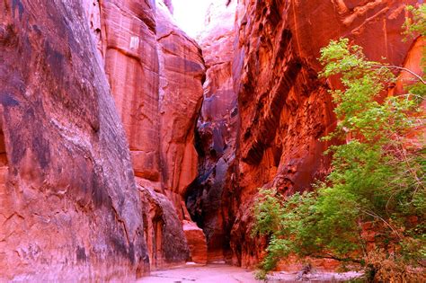 Paria Canyon Backpacking, hiking, Arizona, slot canyons, Utah Paria ...