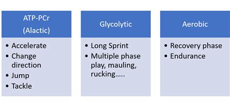 World Rugby Passport - Game-based Conditioning