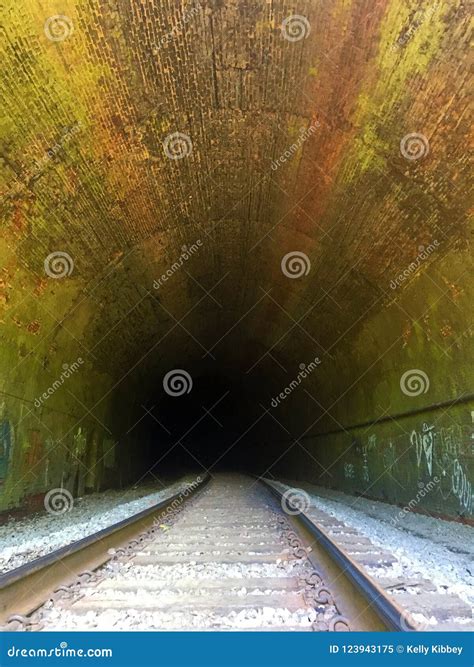 Train Tracks Inside a Dark Tunnel Full of Graffiti Stock Image - Image of round, tagging: 123943175