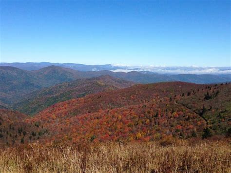 Black Balsam Knob Hiking