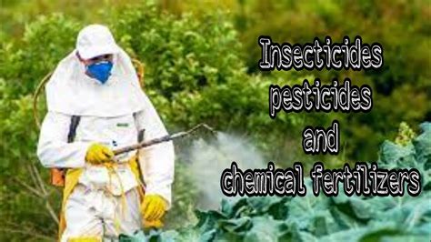 Insecticides And Pesticides Project