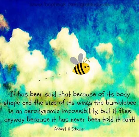 The bumblebee... | Funny inspirational quotes, Inspirational quotes, Inspirational words