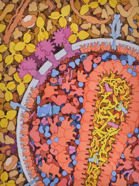 HIV and antibodies, … | Wellcome Collection