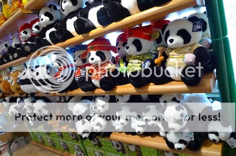 My Very First Blog: Pandas Galore At Ocean Park Hong Kong! (Part 2)