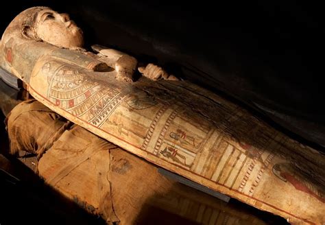 The Science of Mummification | Questacon - The National Science and Technology Centre