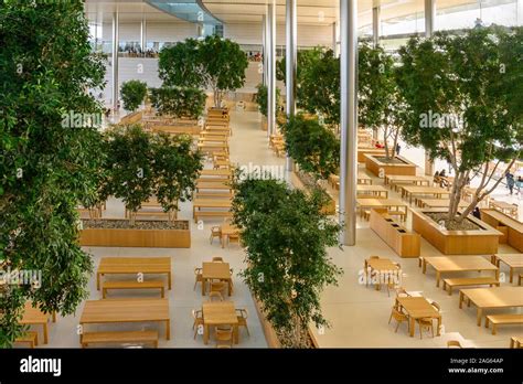 Cupertino CA USA December 14, 2019: Apple headquarters employee ...