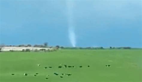 Watch: Moment Cows Run For Cover As Tornado Twists Through Cork Farmland