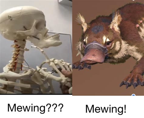 Mewing : r/ARK