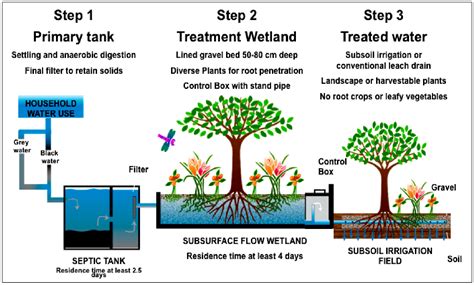 Sustainability | Free Full-Text | Sustainable Urban Biophilia: The Case of Greenskins for Urban ...