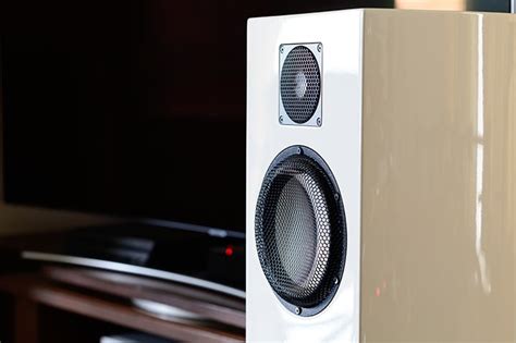 How to Connect Two Speakers to One Amplifier - Audio MAV