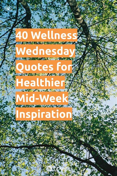40 Wellness Wednesday Quotes for Healthier Mid-Week Inspiration in 2023 | Wednesday quotes ...