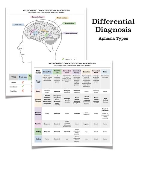 Printable Aphasia Therapy Worksheets - Printable Word Searches