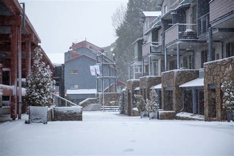 Winter Vibes Are Here | 20cm of Fresh Snow and Counting!