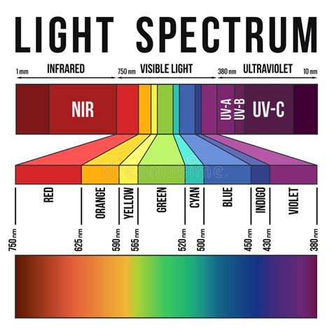 Cores Do Comprimento De Onda No Espectro Ilustração do Vetor - Ilustração de interior, azul ...